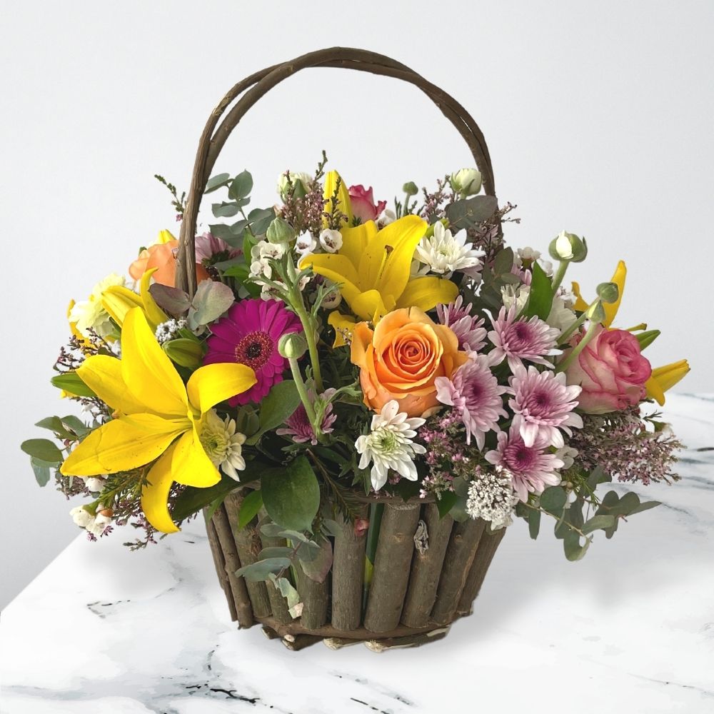 Bloom of Spring