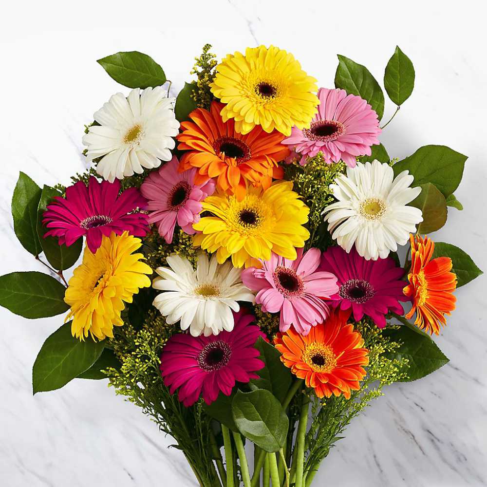 Daisy Bunch (Mixed)