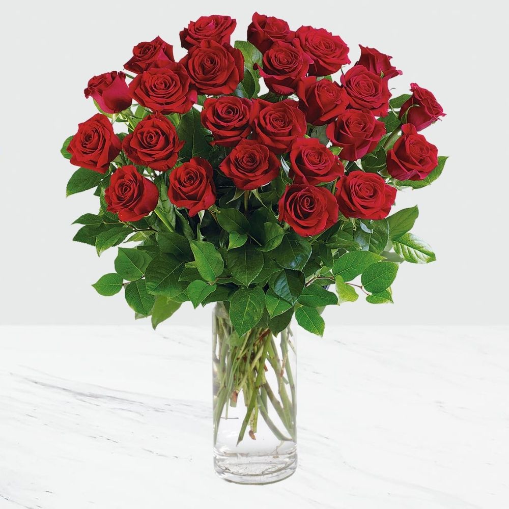 Crimson Roses in Vase