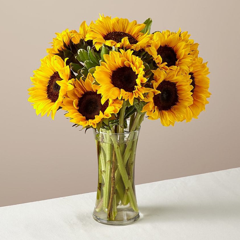 Sunbeams in Vase